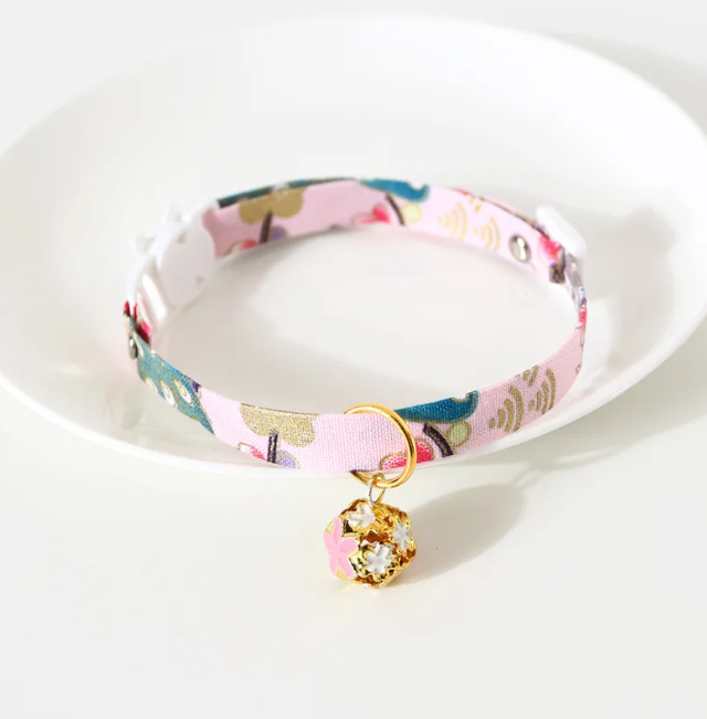 Collars and Leashes