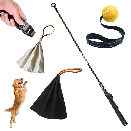 Interactive Flirt Pole for Dogs, Leather Bite Rag, Dog Chew Toys, Puppy Ball Toys for Teething Small and Large Dogs