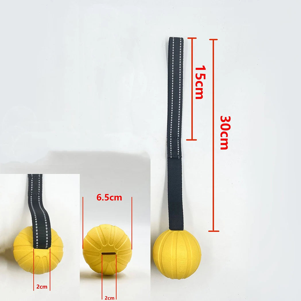 Interactive Flirt Pole for Dogs, Leather Bite Rag, Dog Chew Toys, Puppy Ball Toys for Teething Small and Large Dogs