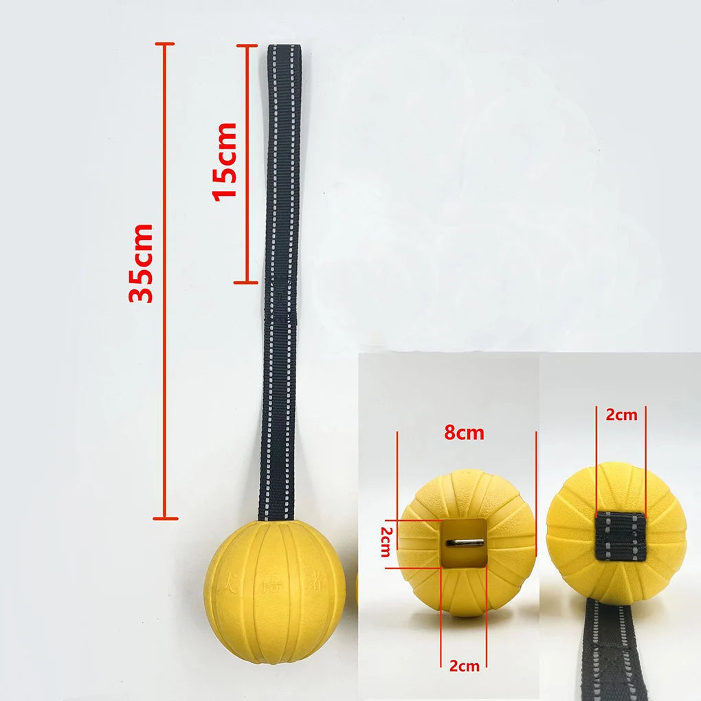 Interactive Flirt Pole for Dogs, Leather Bite Rag, Dog Chew Toys, Puppy Ball Toys for Teething Small and Large Dogs