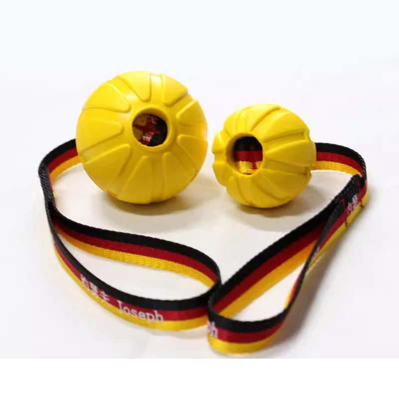 Interactive Flirt Pole for Dogs, Leather Bite Rag, Dog Chew Toys, Puppy Ball Toys for Teething Small and Large Dogs
