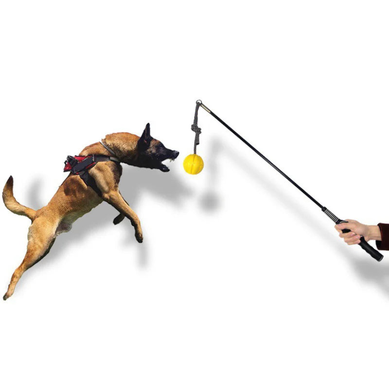 Interactive Flirt Pole for Dogs, Leather Bite Rag, Dog Chew Toys, Puppy Ball Toys for Teething Small and Large Dogs