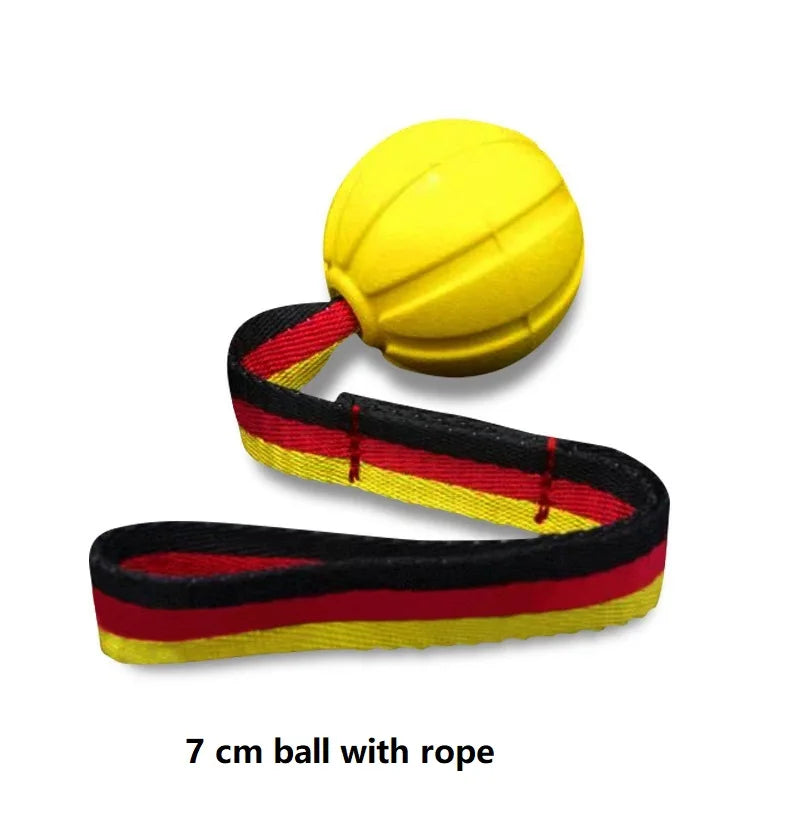 Interactive Flirt Pole for Dogs, Leather Bite Rag, Dog Chew Toys, Puppy Ball Toys for Teething Small and Large Dogs