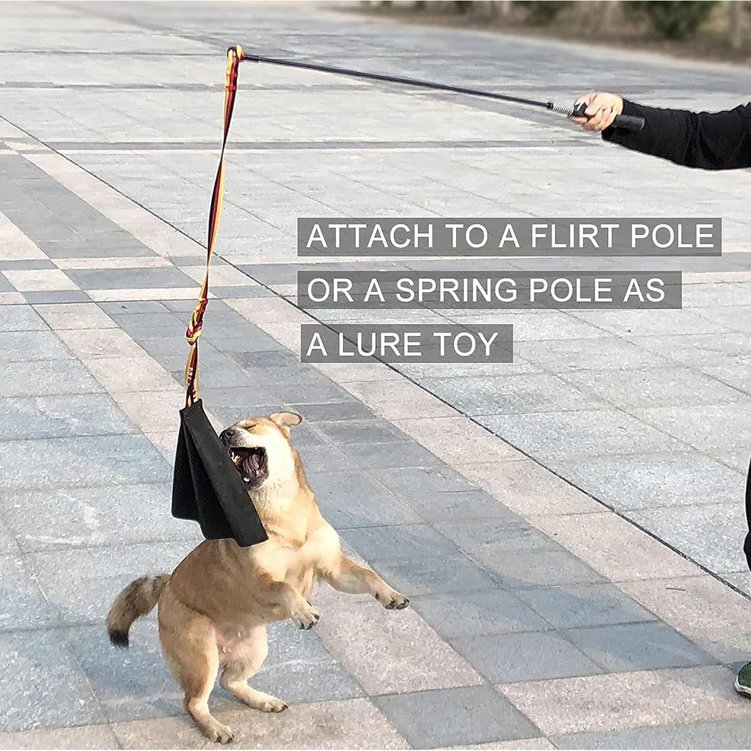 Interactive Flirt Pole for Dogs, Leather Bite Rag, Dog Chew Toys, Puppy Ball Toys for Teething Small and Large Dogs