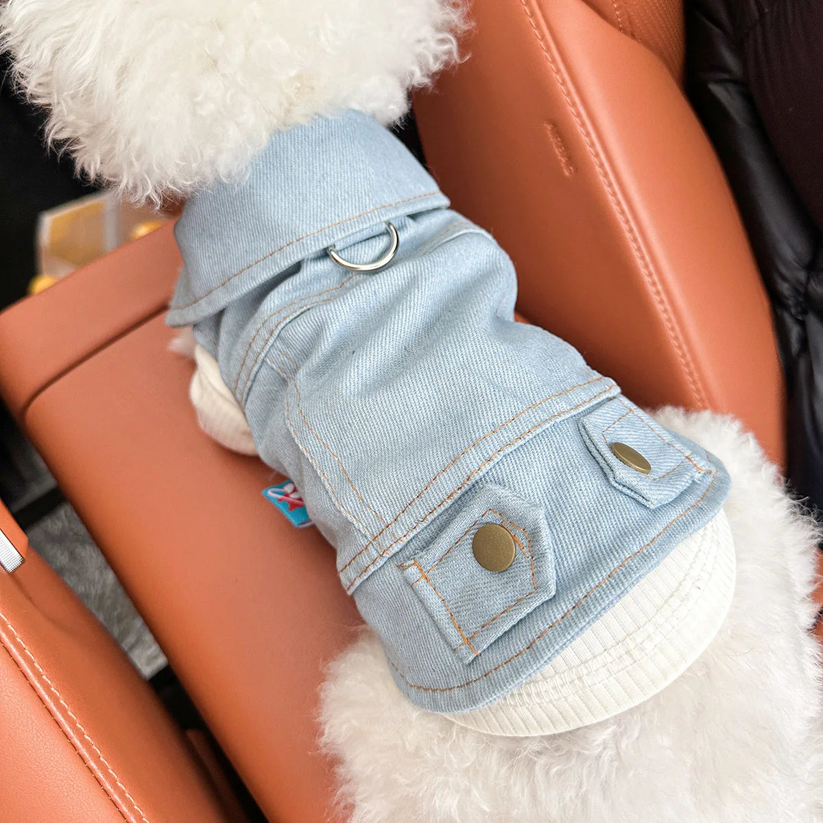 Blue Denim Vest Handsome Jacket for Dogs and Cats Spot Picks  Stylin' Pet Denim Jacket Collection for Small Pets All Season Wear