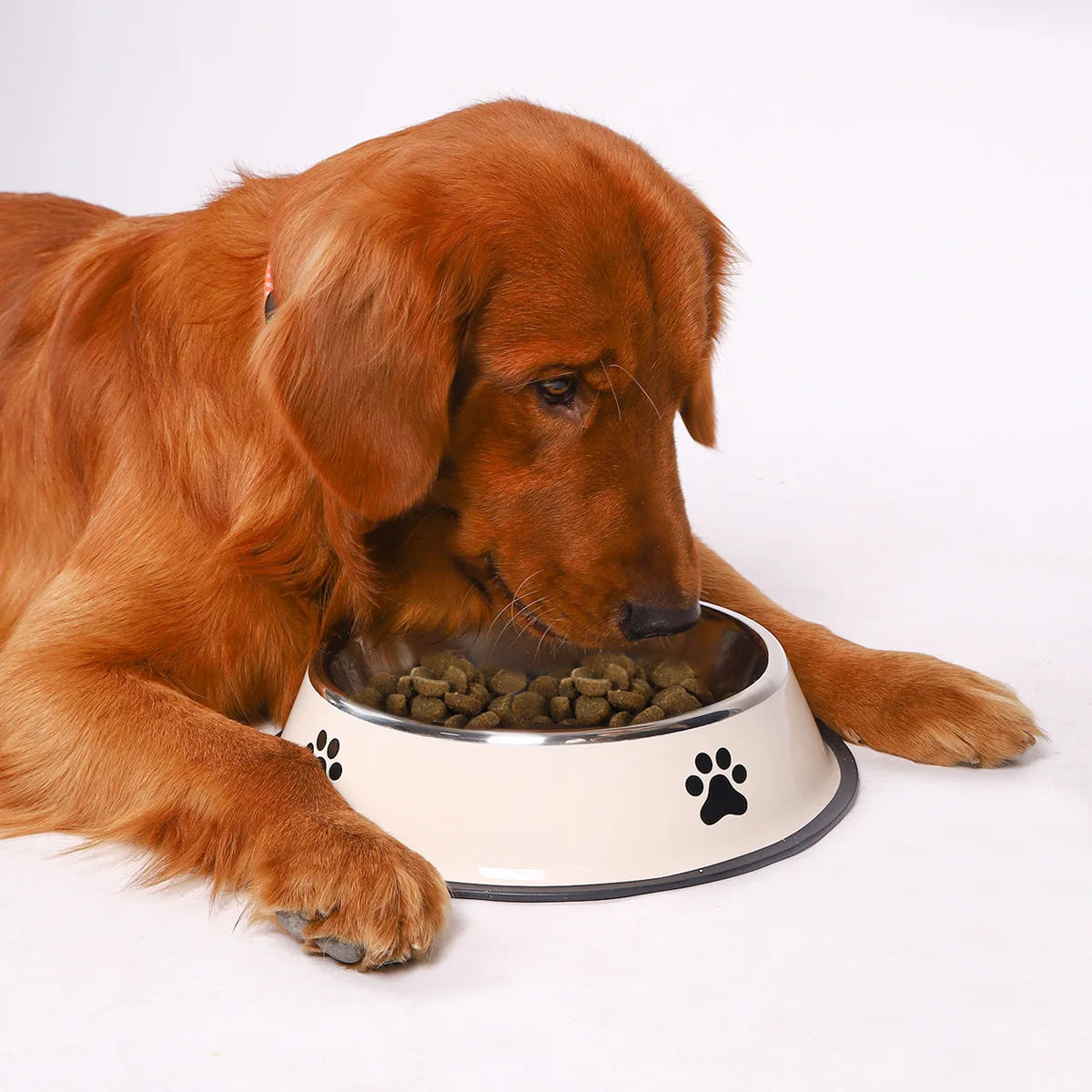Stainless Steel Large Capacity Pet Bowl Dog Food Bowl Multiple Specifications Anti-Fall Food Bowl Feeding Pet Supplies