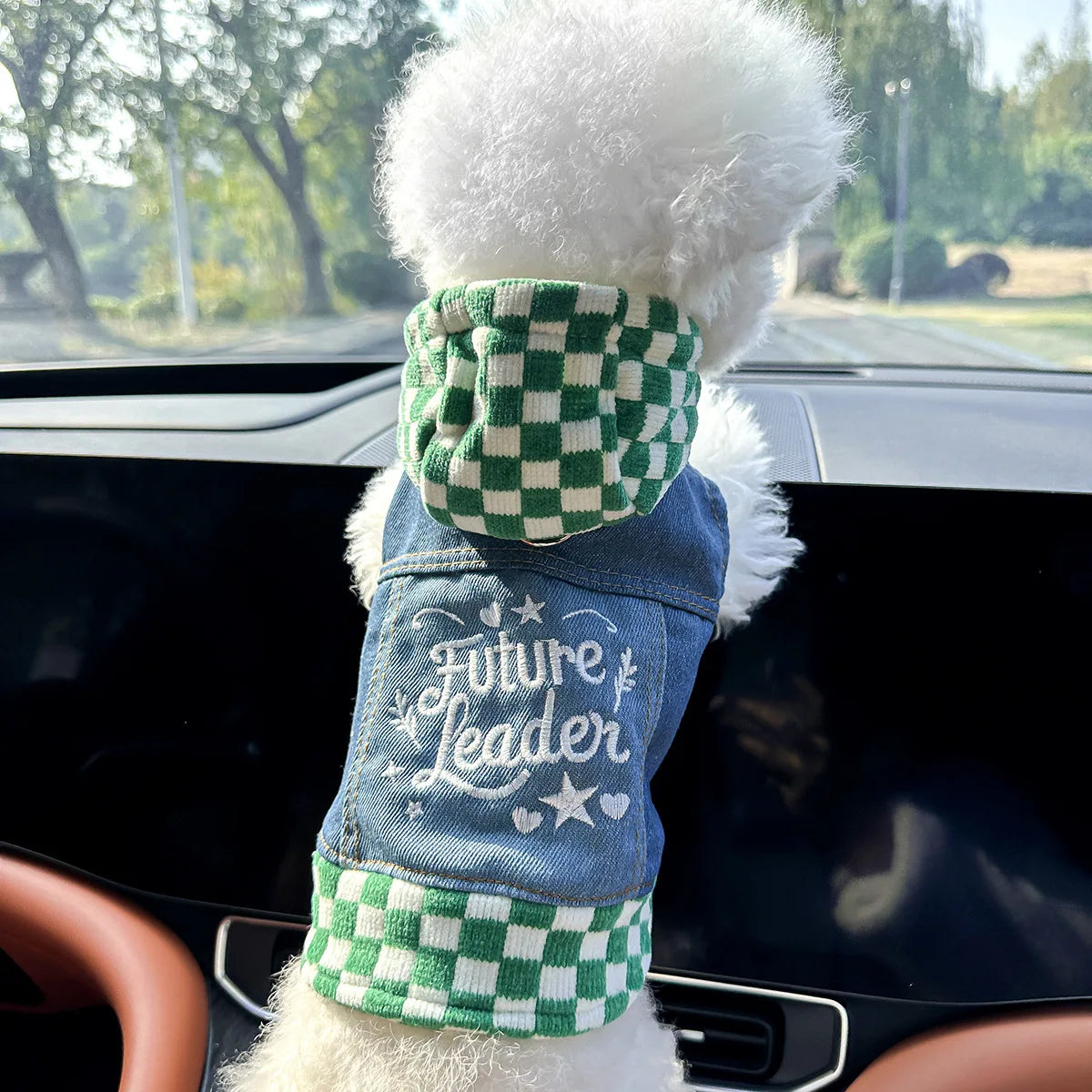 Blue Denim Vest Handsome Jacket for Dogs and Cats Spot Picks  Stylin' Pet Denim Jacket Collection for Small Pets All Season Wear