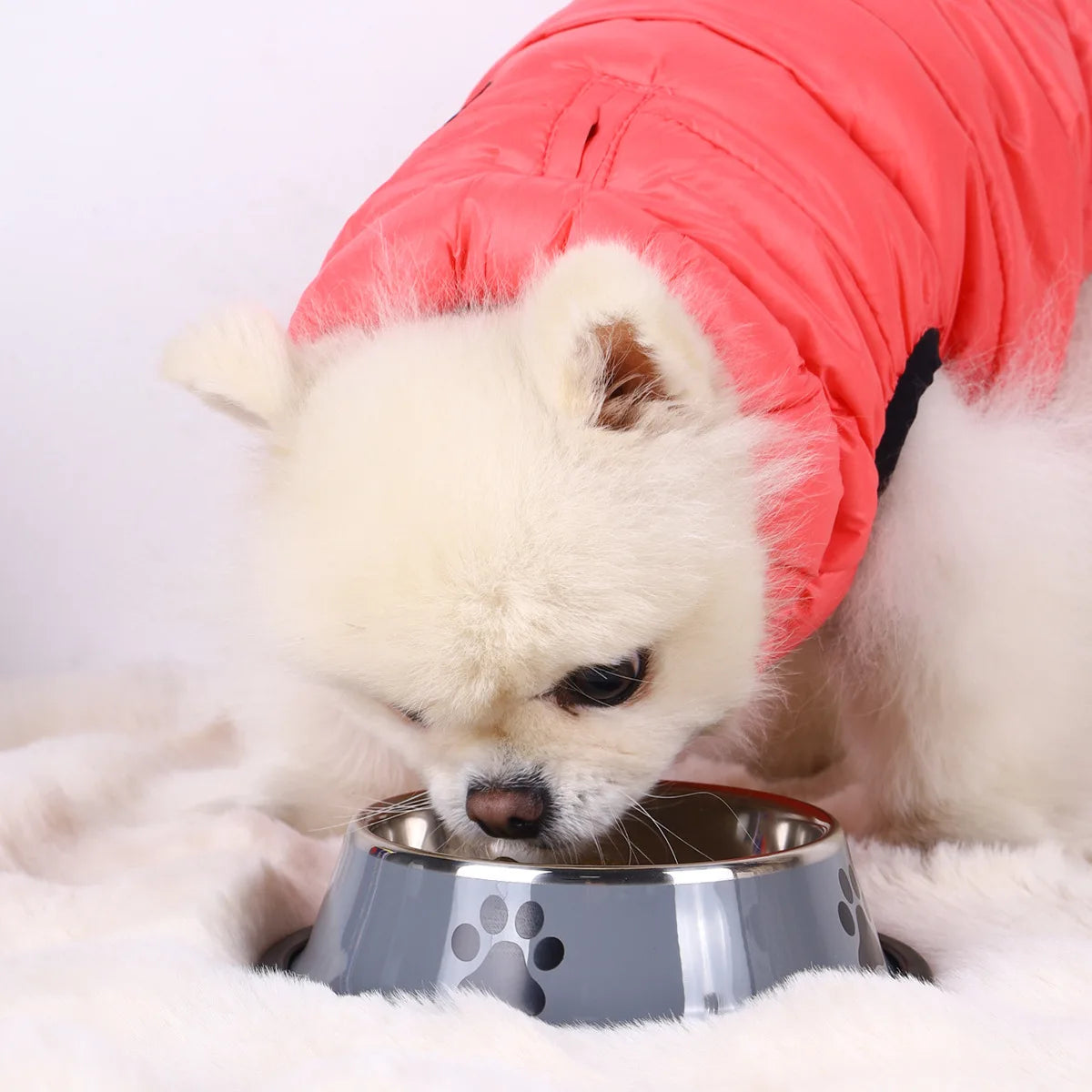 Stainless Steel Large Capacity Pet Bowl Dog Food Bowl Multiple Specifications Anti-Fall Food Bowl Feeding Pet Supplies