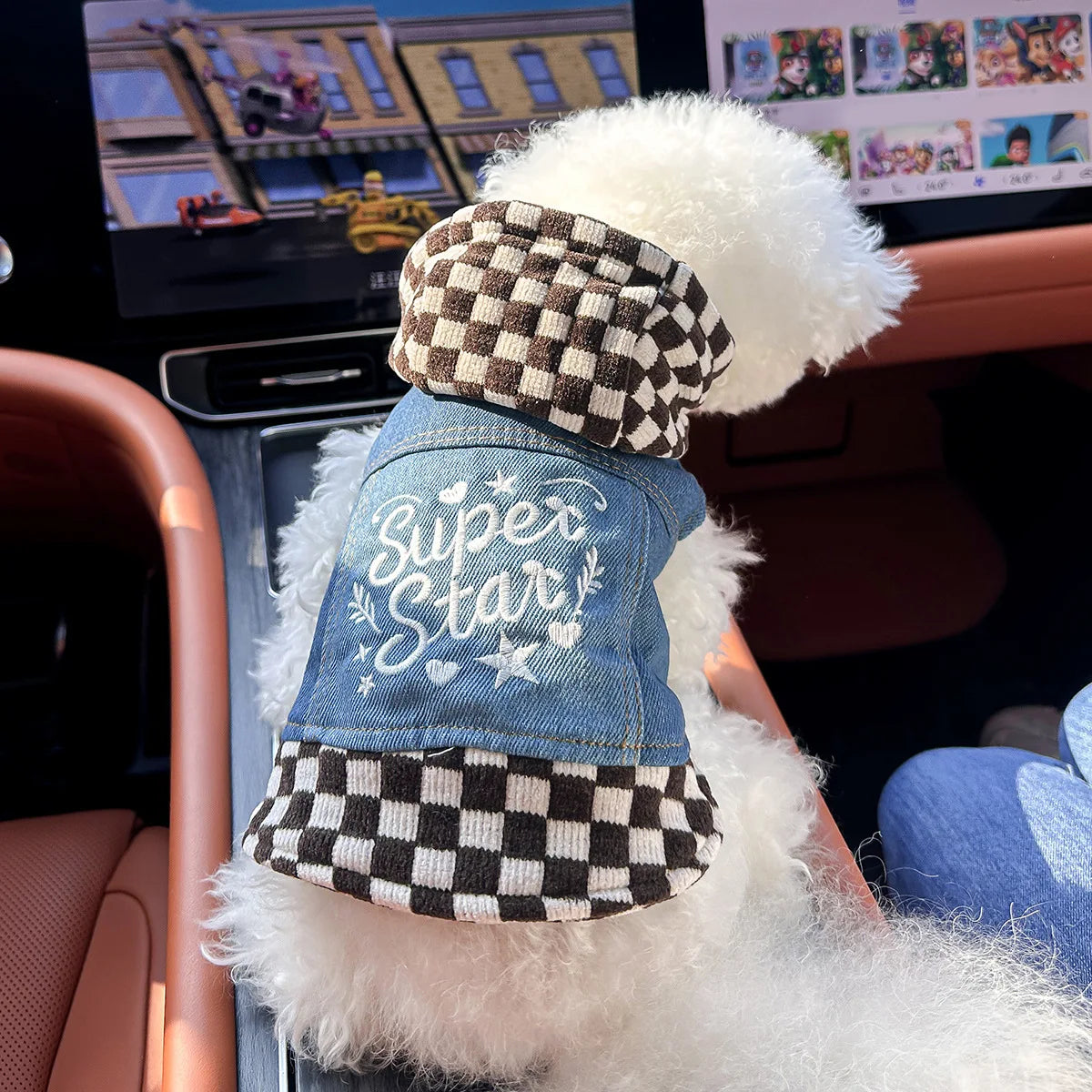 Blue Denim Vest Handsome Jacket for Dogs and Cats Spot Picks  Stylin' Pet Denim Jacket Collection for Small Pets All Season Wear