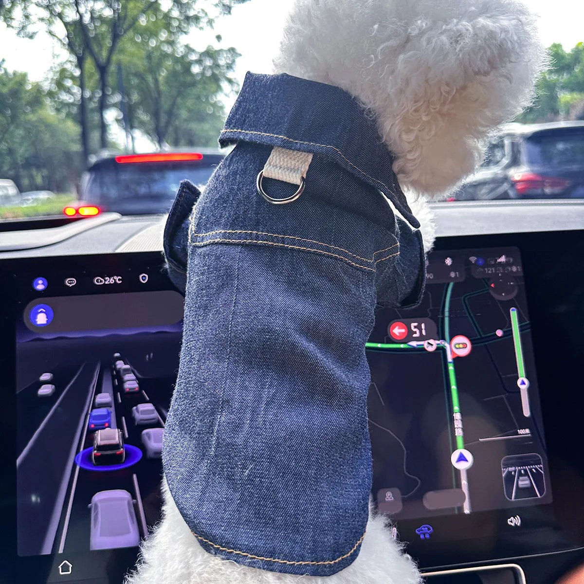 Blue Denim Vest Handsome Jacket for Dogs and Cats Spot Picks  Stylin' Pet Denim Jacket Collection for Small Pets All Season Wear