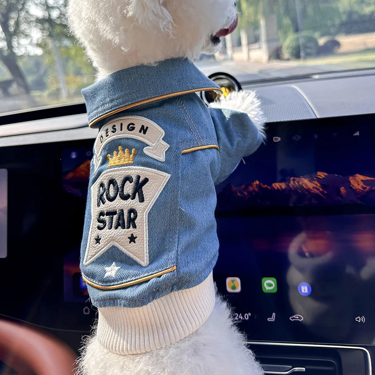 Blue Denim Vest Handsome Jacket for Dogs and Cats Spot Picks  Stylin' Pet Denim Jacket Collection for Small Pets All Season Wear