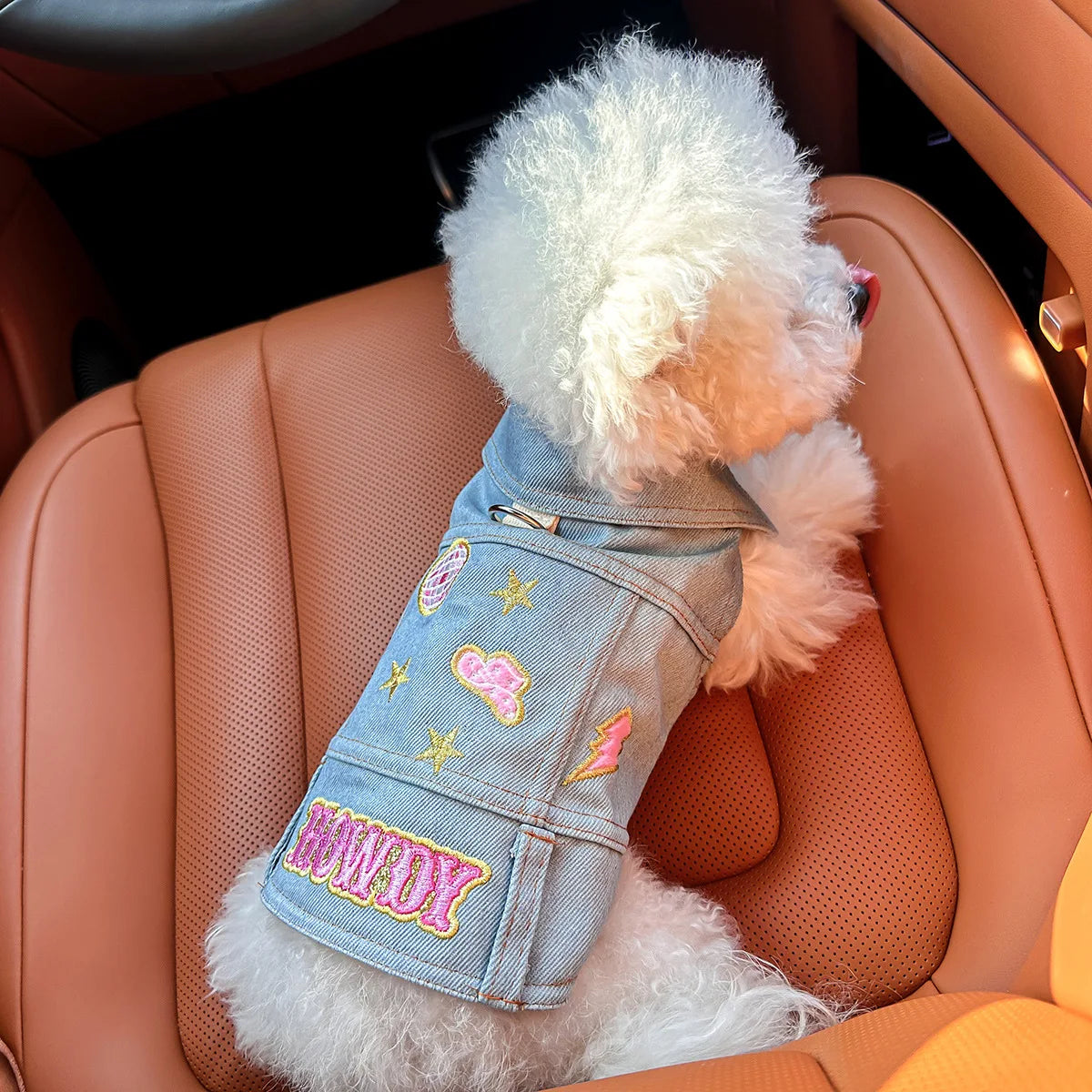 Blue Denim Vest Handsome Jacket for Dogs and Cats Spot Picks  Stylin' Pet Denim Jacket Collection for Small Pets All Season Wear