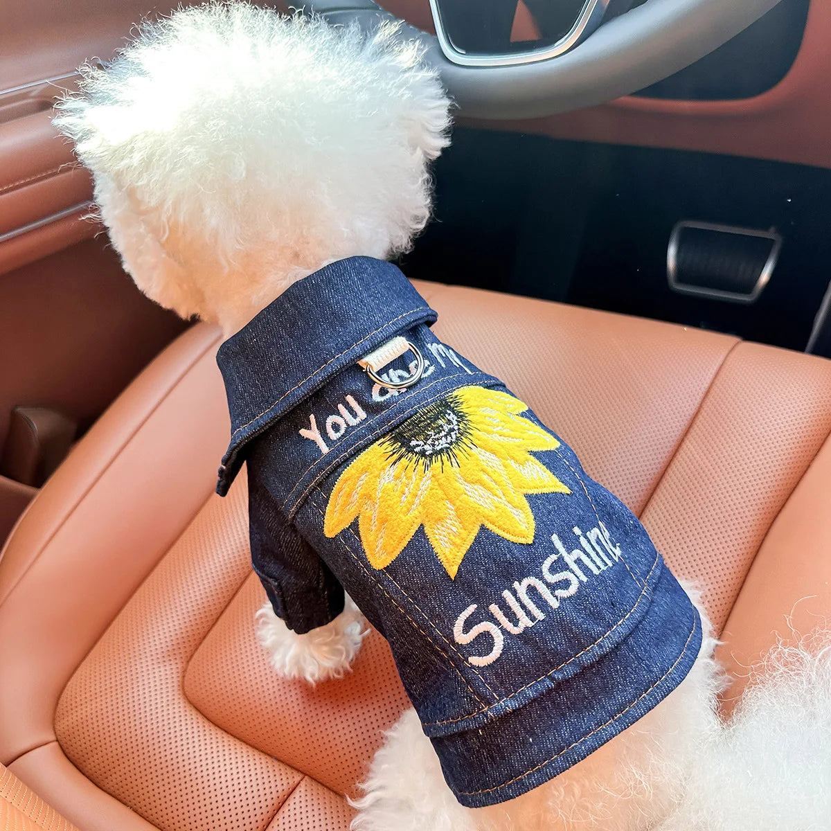 Blue Denim Vest Handsome Jacket for Dogs and Cats Spot Picks  Stylin' Pet Denim Jacket Collection for Small Pets All Season Wear